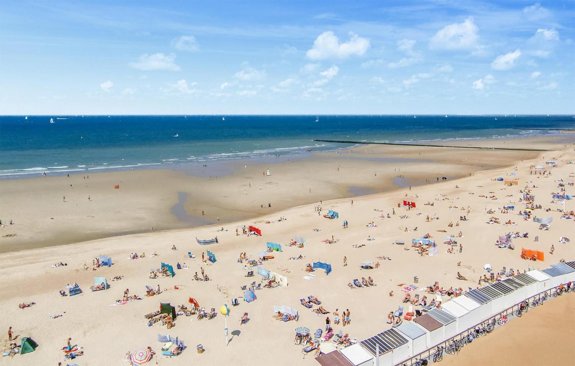 Apartment 1 Bedroom Cozy In Ostend